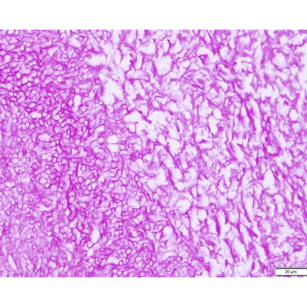 Tissue Control Slide